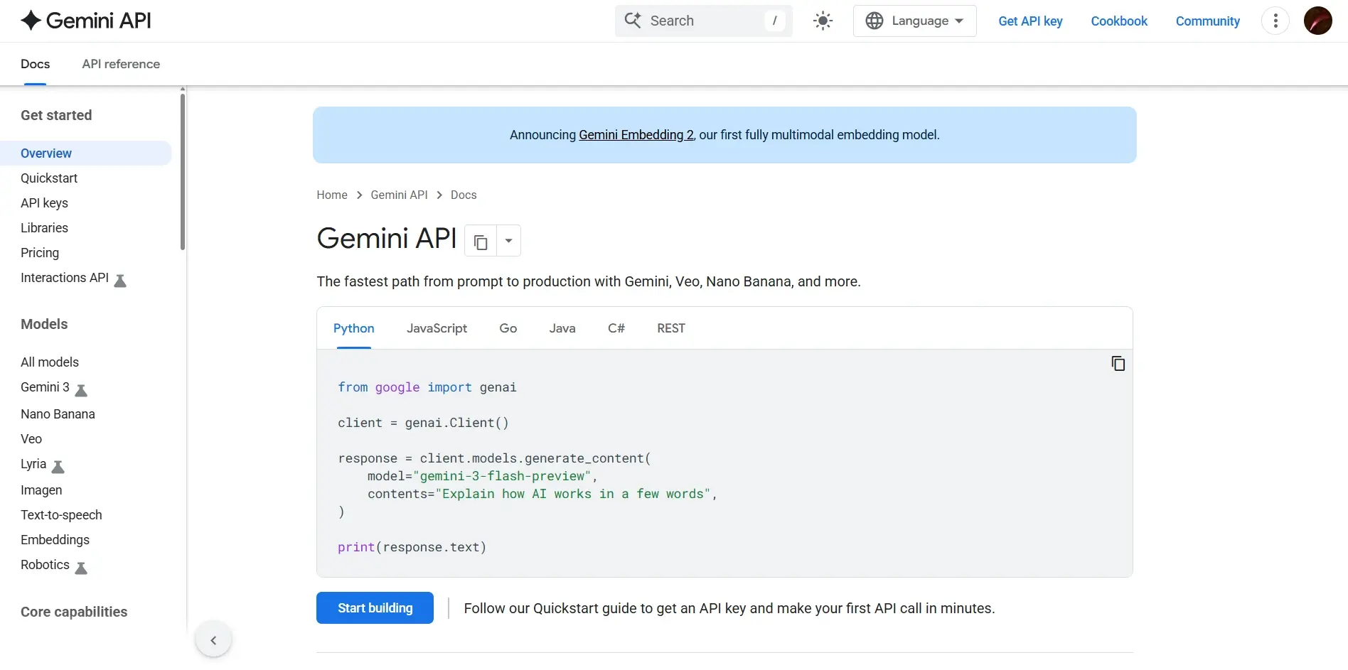 Google Gemini API