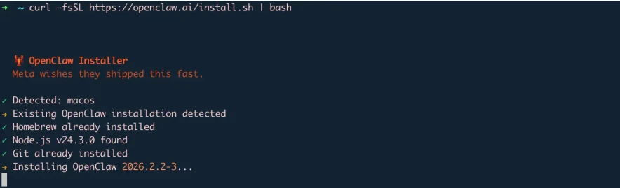Terminal: install script running