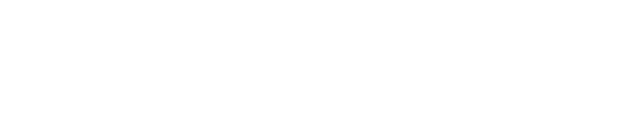 anything.com logo