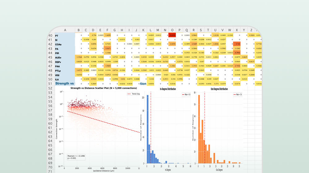 Connectome Analysis Workbook