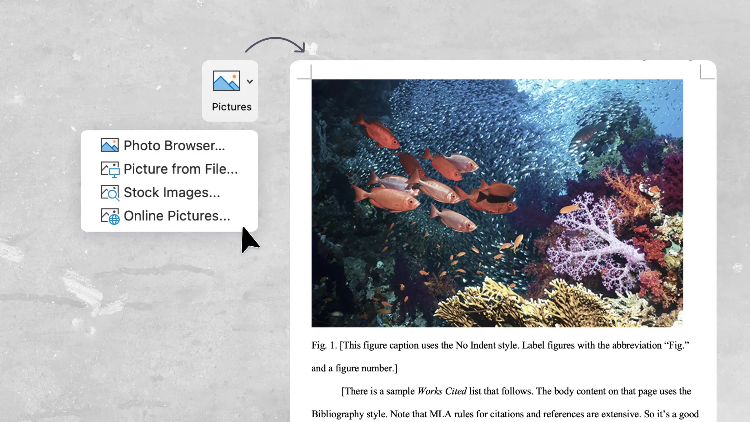 Come inserire un'immagine in Word: guida completa