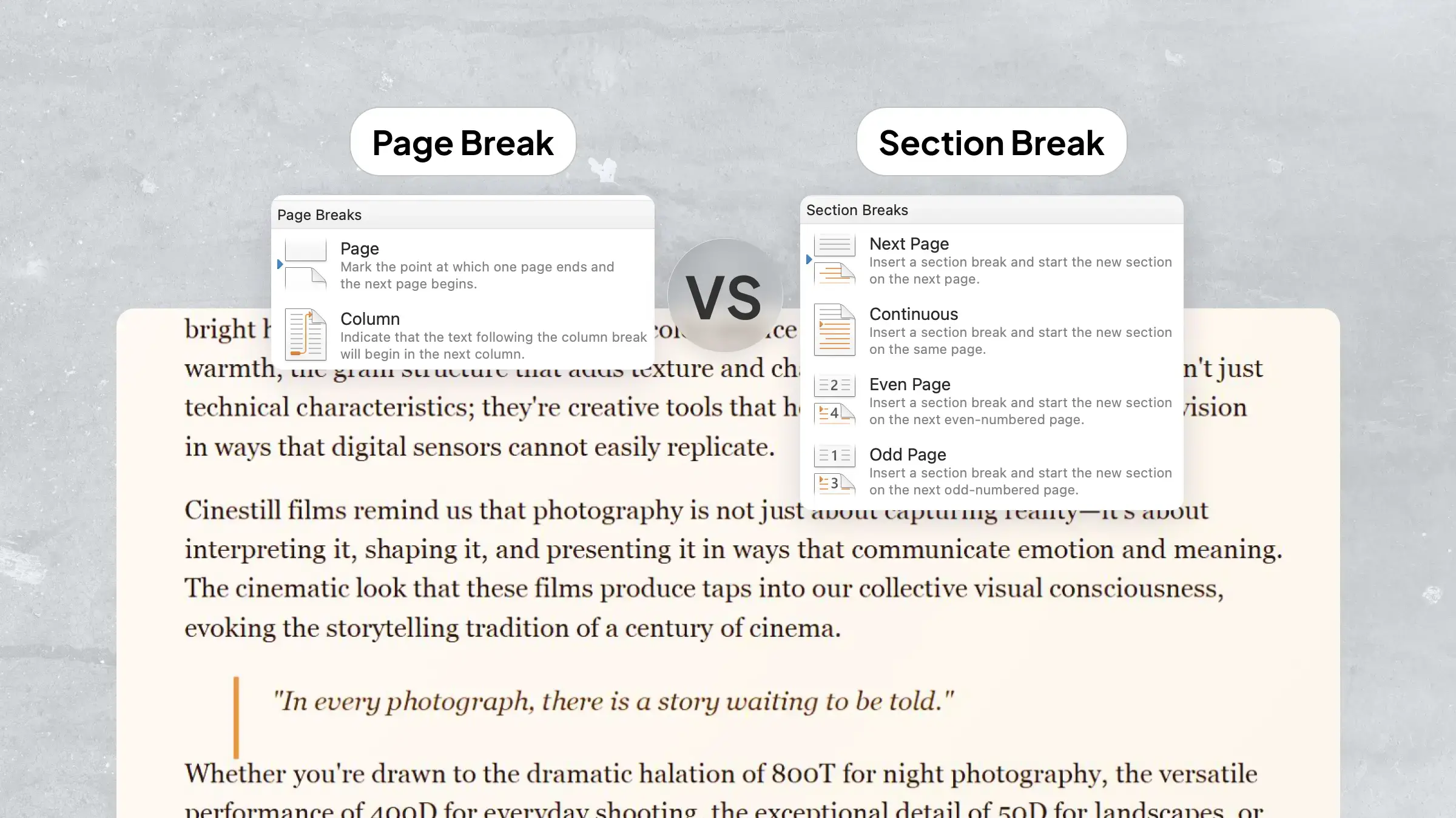Page Break vs Section Break in Word: Key Differences
